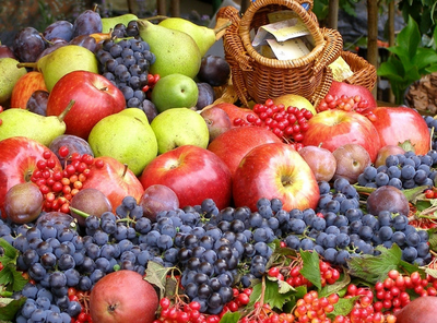 第16周國內(nèi)外農(nóng)產(chǎn)品市場動態(tài) 水果與蔬菜價(jià)格走勢分析