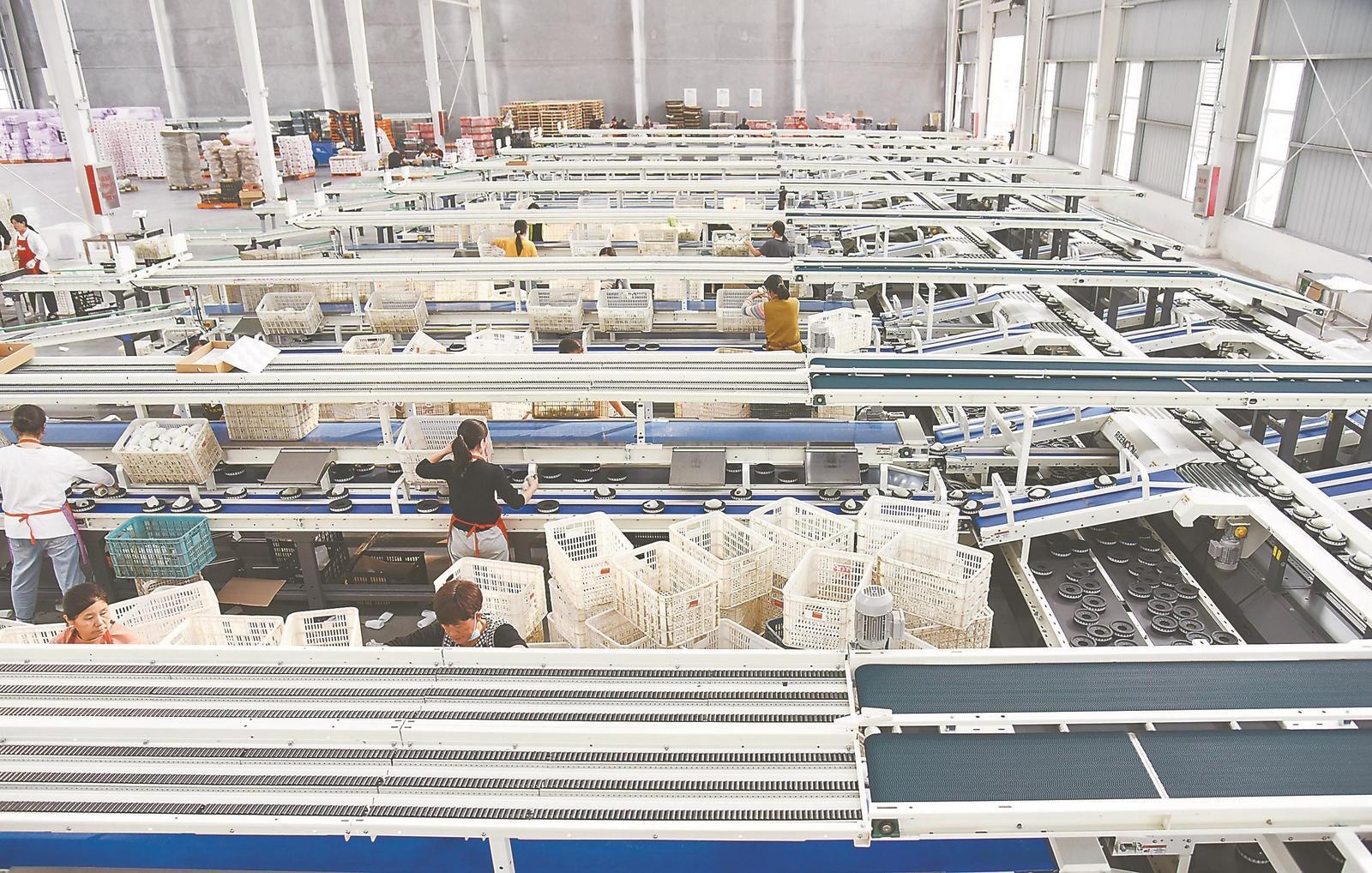 人工智能助力企業(yè)蔬菜生產(chǎn) 技術(shù)革新與未來前景